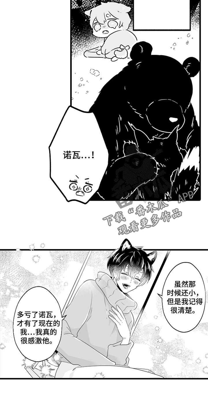 《森林中的熊》漫画最新章节第23章：保护免费下拉式在线观看章节第【9】张图片