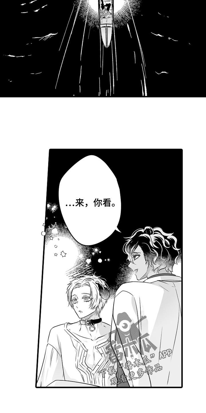 《森林中的熊》漫画最新章节第36章：光芒免费下拉式在线观看章节第【5】张图片