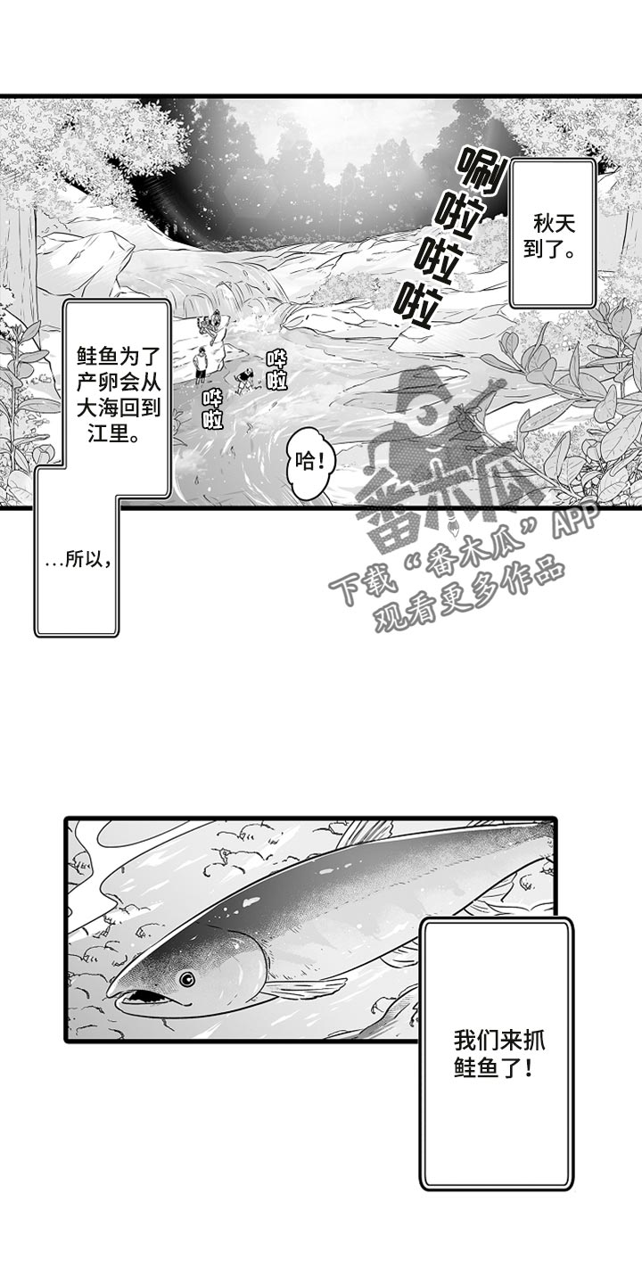 《森林中的熊》漫画最新章节第38章：抓鲑鱼免费下拉式在线观看章节第【16】张图片