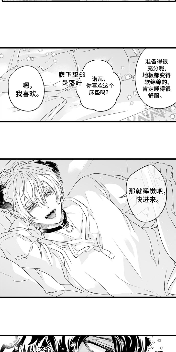 《森林中的熊》漫画最新章节第40章：特别免费下拉式在线观看章节第【8】张图片