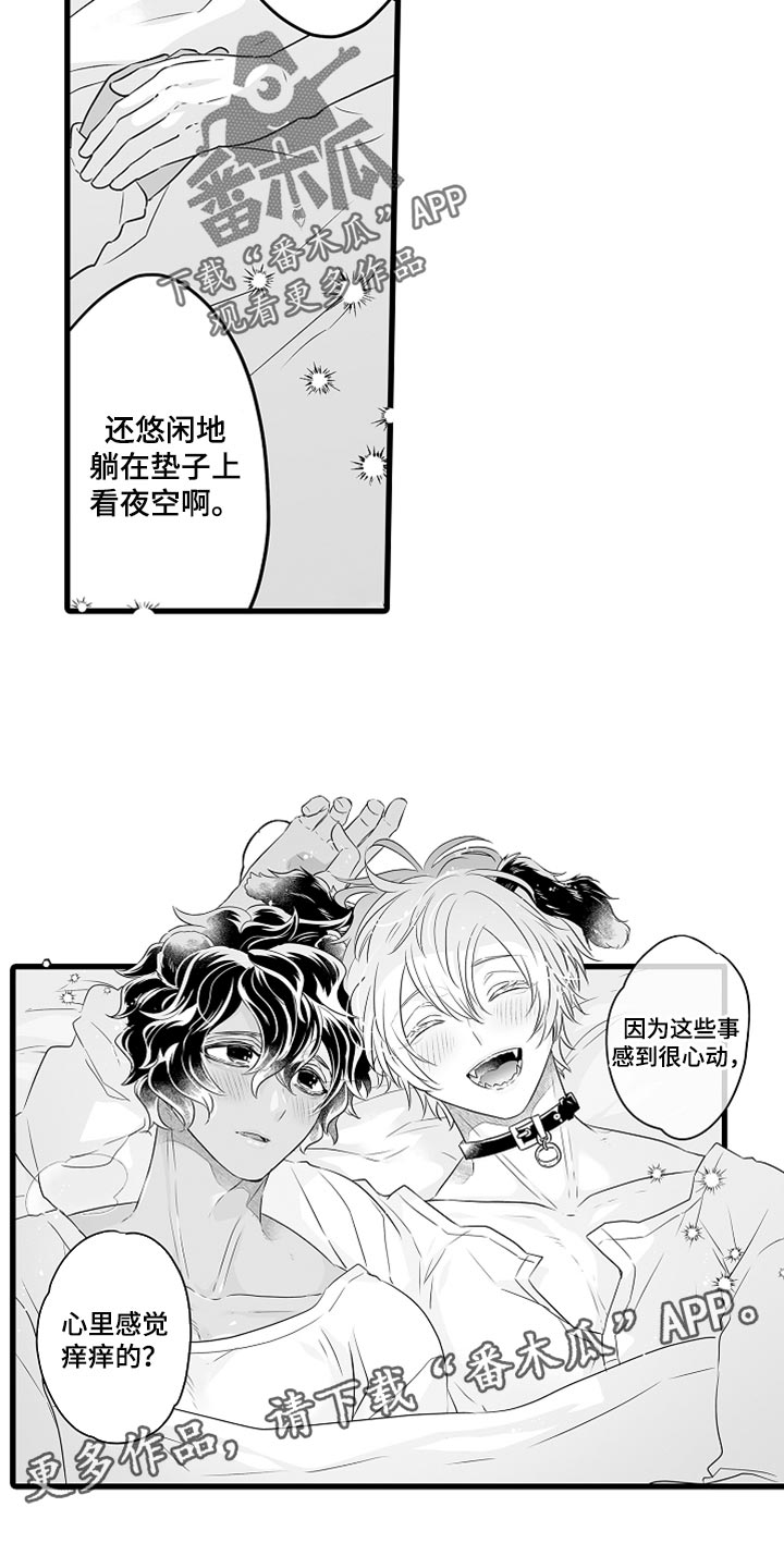 《森林中的熊》漫画最新章节第40章：特别免费下拉式在线观看章节第【2】张图片