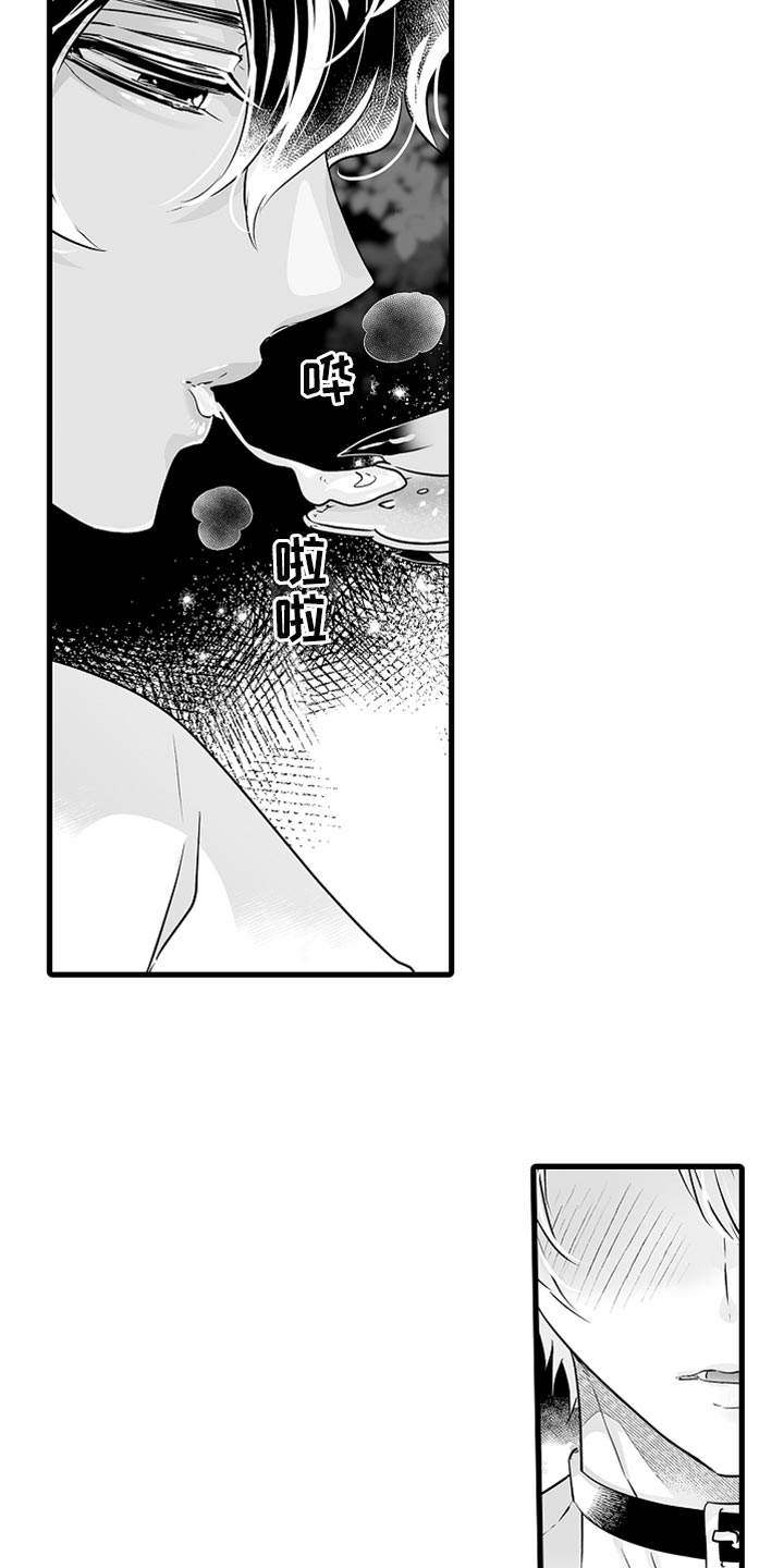 《森林中的熊》漫画最新章节第40章：特别免费下拉式在线观看章节第【12】张图片