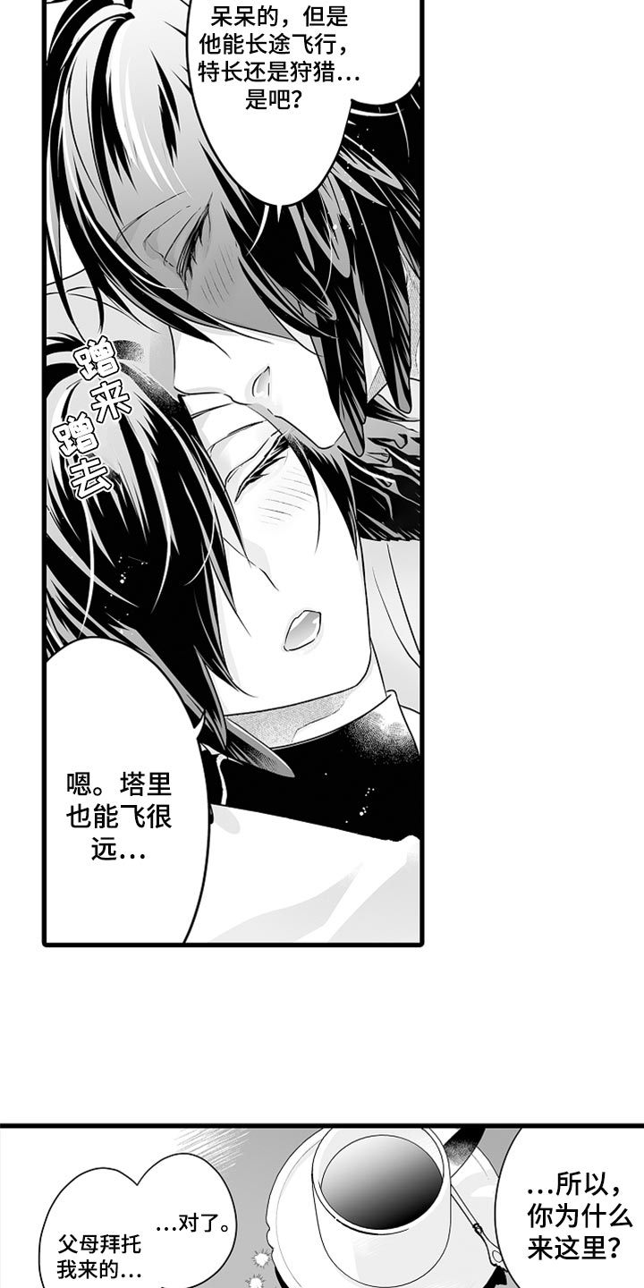 《森林中的熊》漫画最新章节第42章：让你回家免费下拉式在线观看章节第【2】张图片