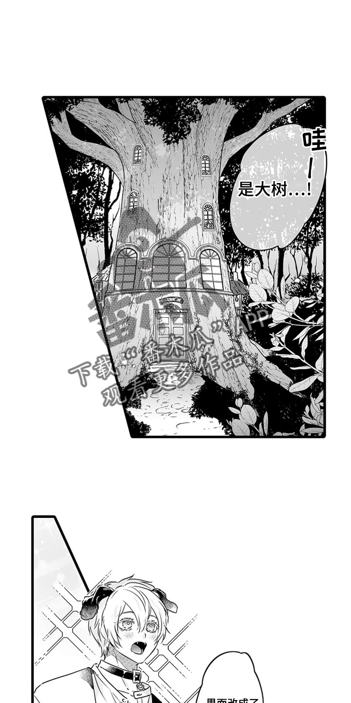 《森林中的熊》漫画最新章节第50章：茶话会帮手免费下拉式在线观看章节第【7】张图片