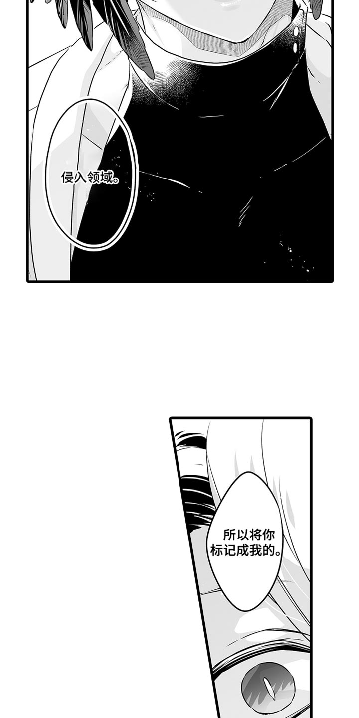 《森林中的熊》漫画最新章节第65章：标记免费下拉式在线观看章节第【5】张图片