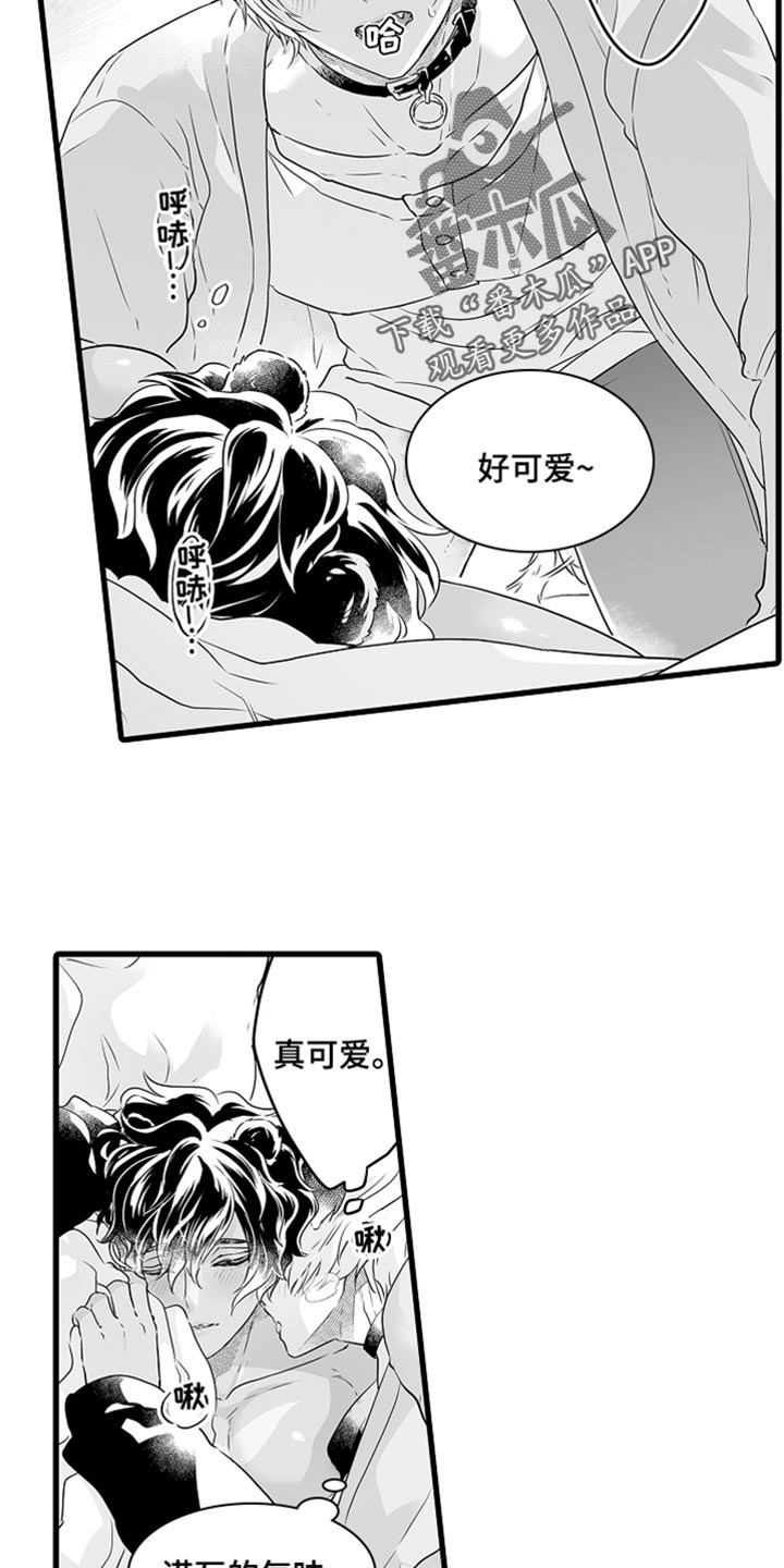 《森林中的熊》漫画最新章节第67章：按你的想法来免费下拉式在线观看章节第【12】张图片