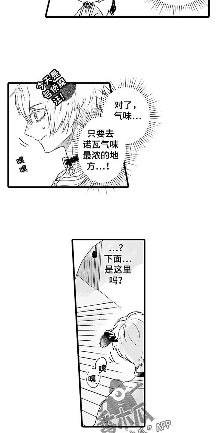 《森林中的熊》漫画最新章节第67章：按你的想法来免费下拉式在线观看章节第【20】张图片