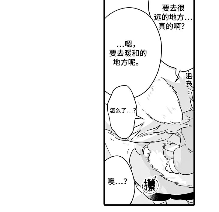 《森林中的熊》漫画最新章节第68章：约定免费下拉式在线观看章节第【8】张图片