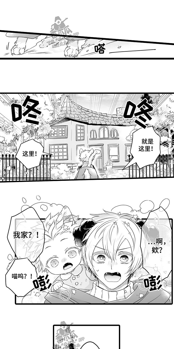 《森林中的熊》漫画最新章节第70章：寻找免费下拉式在线观看章节第【16】张图片