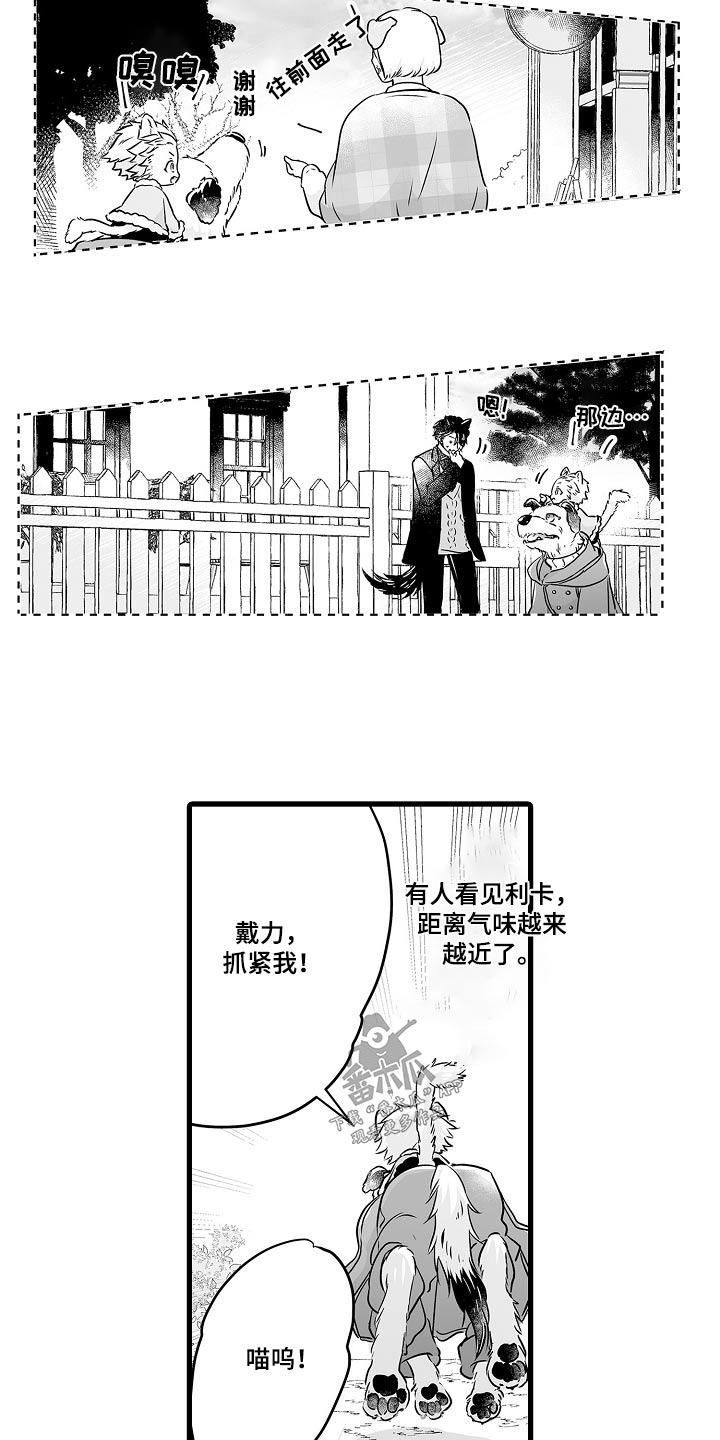 《森林中的熊》漫画最新章节第70章：寻找免费下拉式在线观看章节第【18】张图片