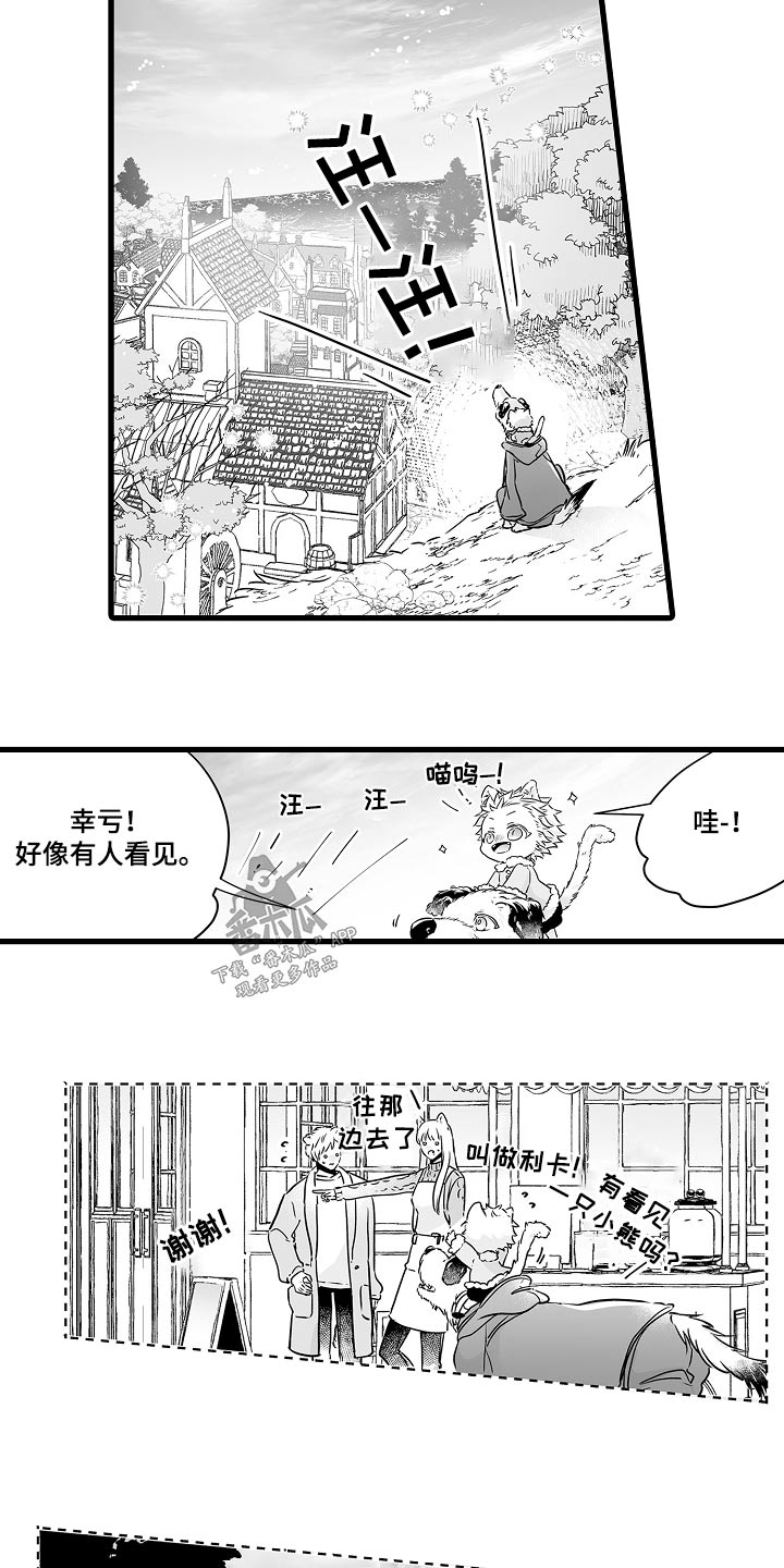 《森林中的熊》漫画最新章节第70章：寻找免费下拉式在线观看章节第【19】张图片