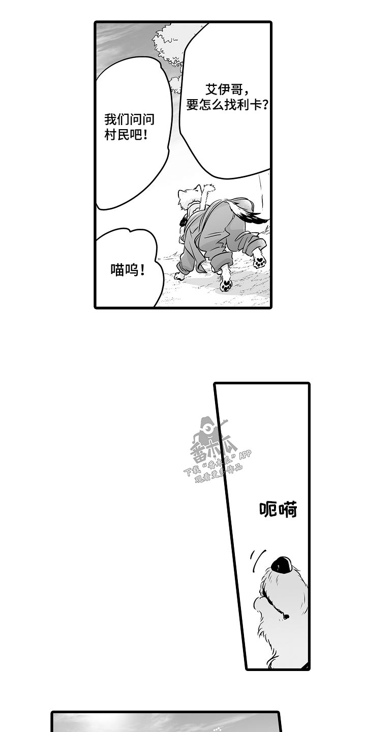 《森林中的熊》漫画最新章节第70章：寻找免费下拉式在线观看章节第【20】张图片