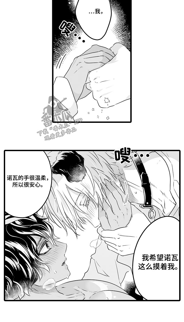 《森林中的熊》漫画最新章节第71章：一起过冬免费下拉式在线观看章节第【15】张图片