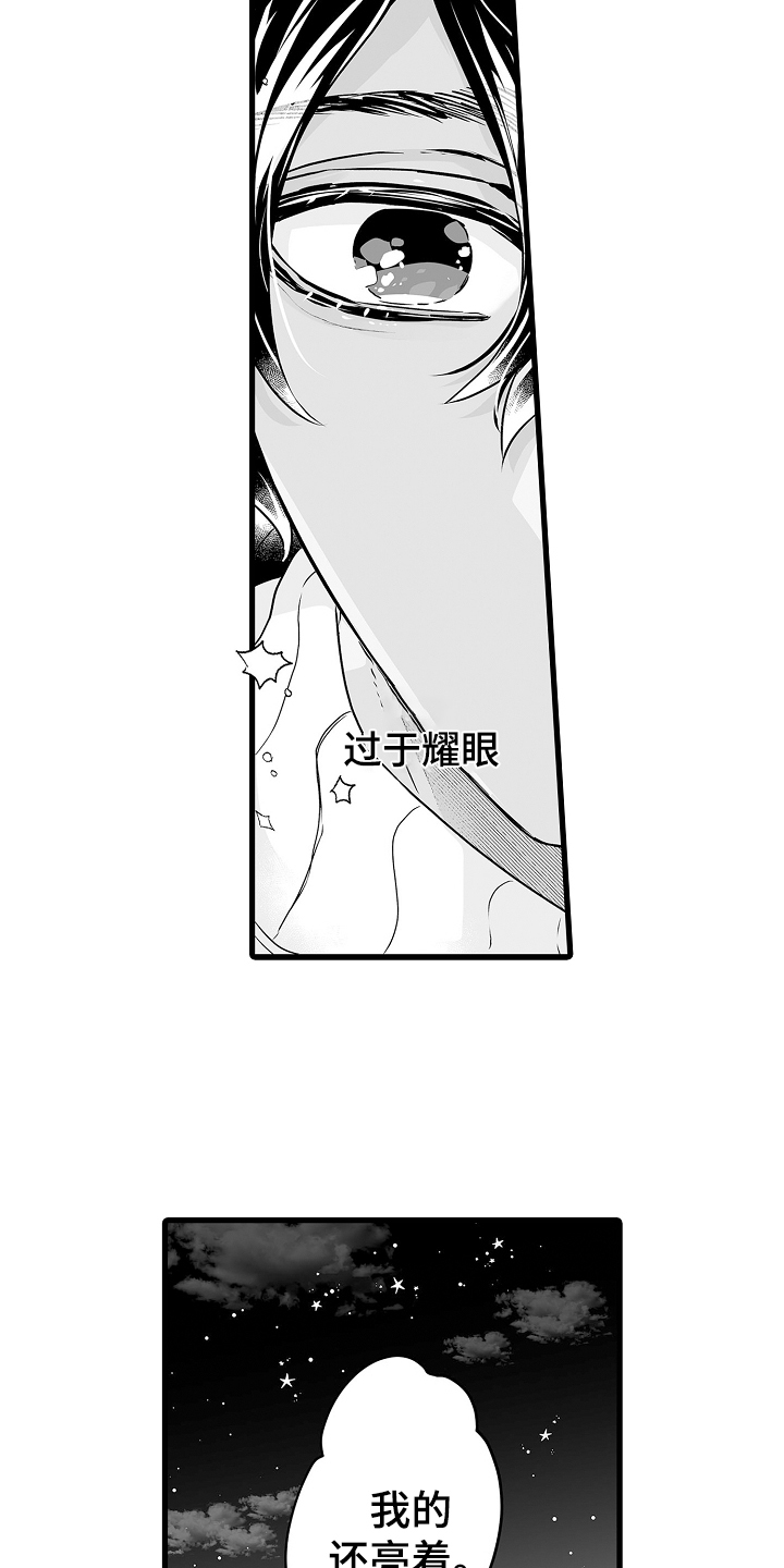 《森林中的熊》漫画最新章节第72章：烟花免费下拉式在线观看章节第【6】张图片