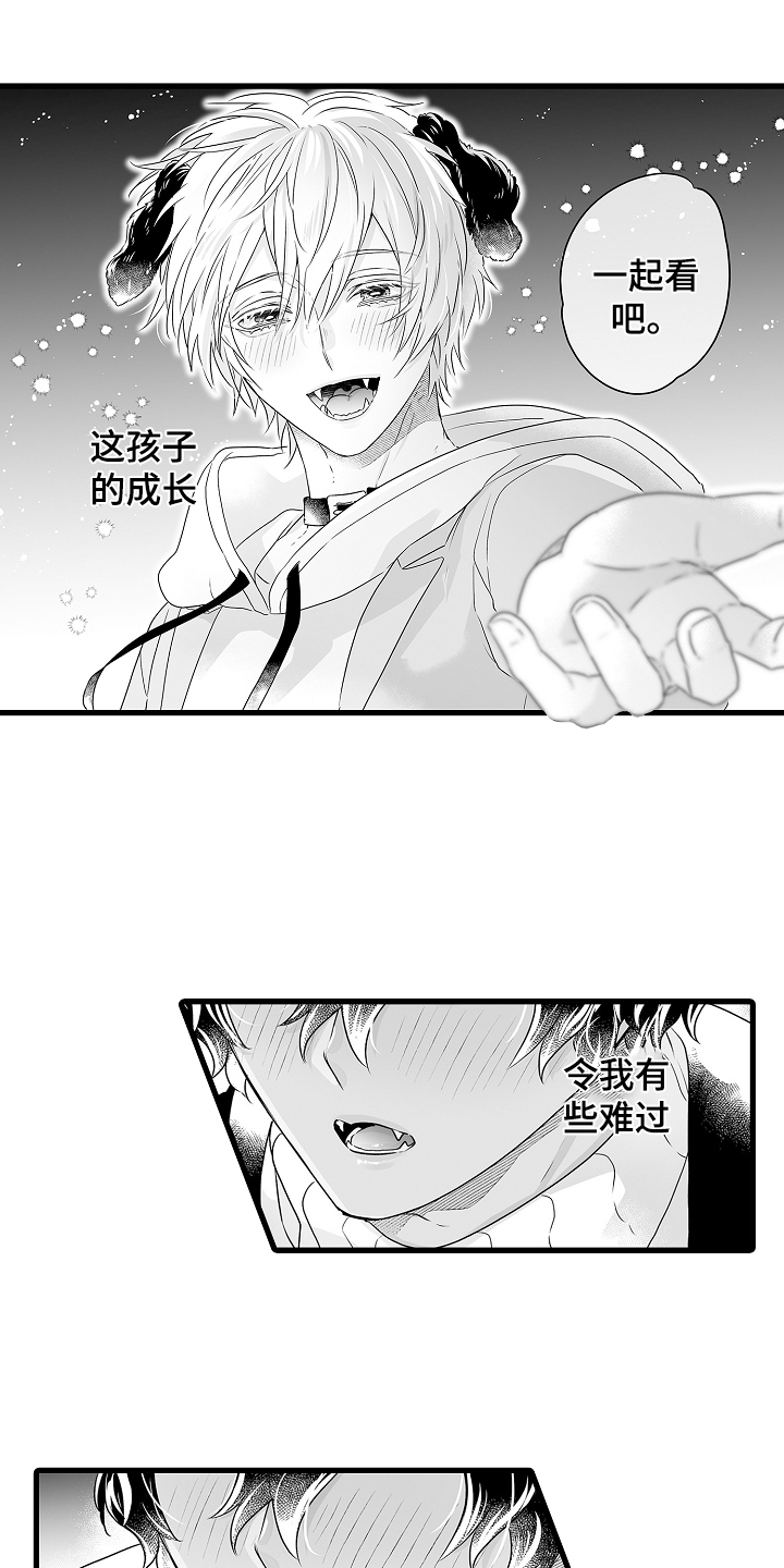 《森林中的熊》漫画最新章节第72章：烟花免费下拉式在线观看章节第【4】张图片