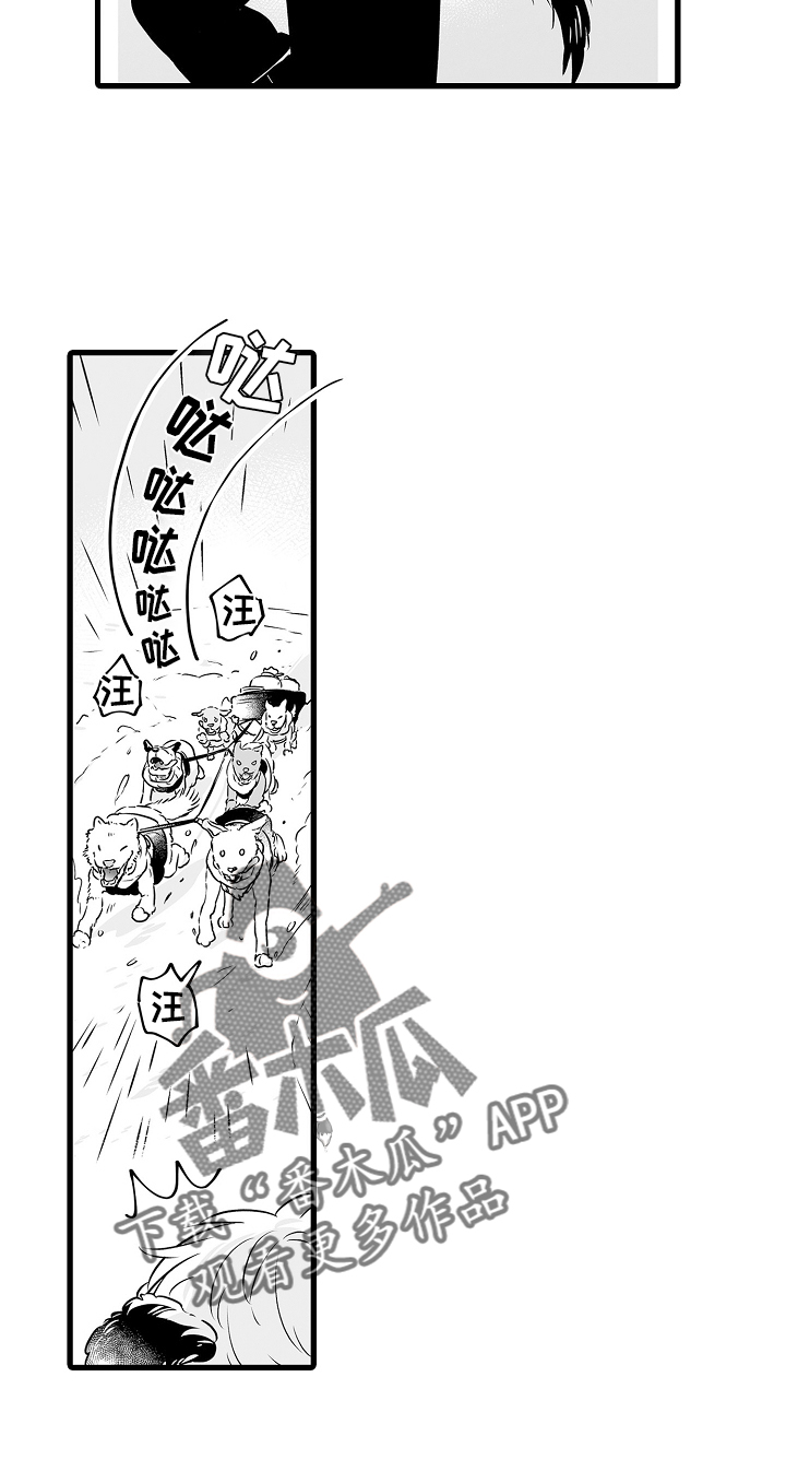 《森林中的熊》漫画最新章节第73章：春天再见免费下拉式在线观看章节第【1】张图片