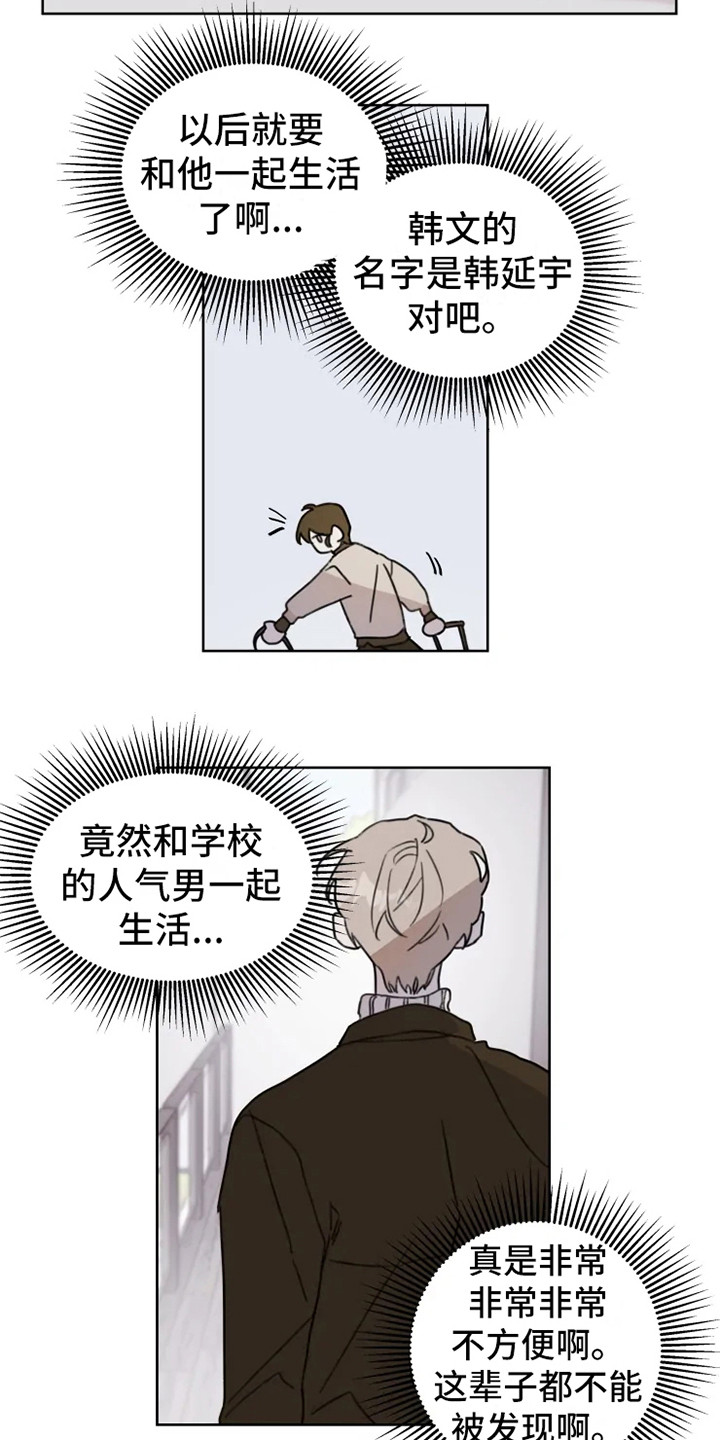 《浪漫的青春》漫画最新章节第2章：人气男免费下拉式在线观看章节第【10】张图片