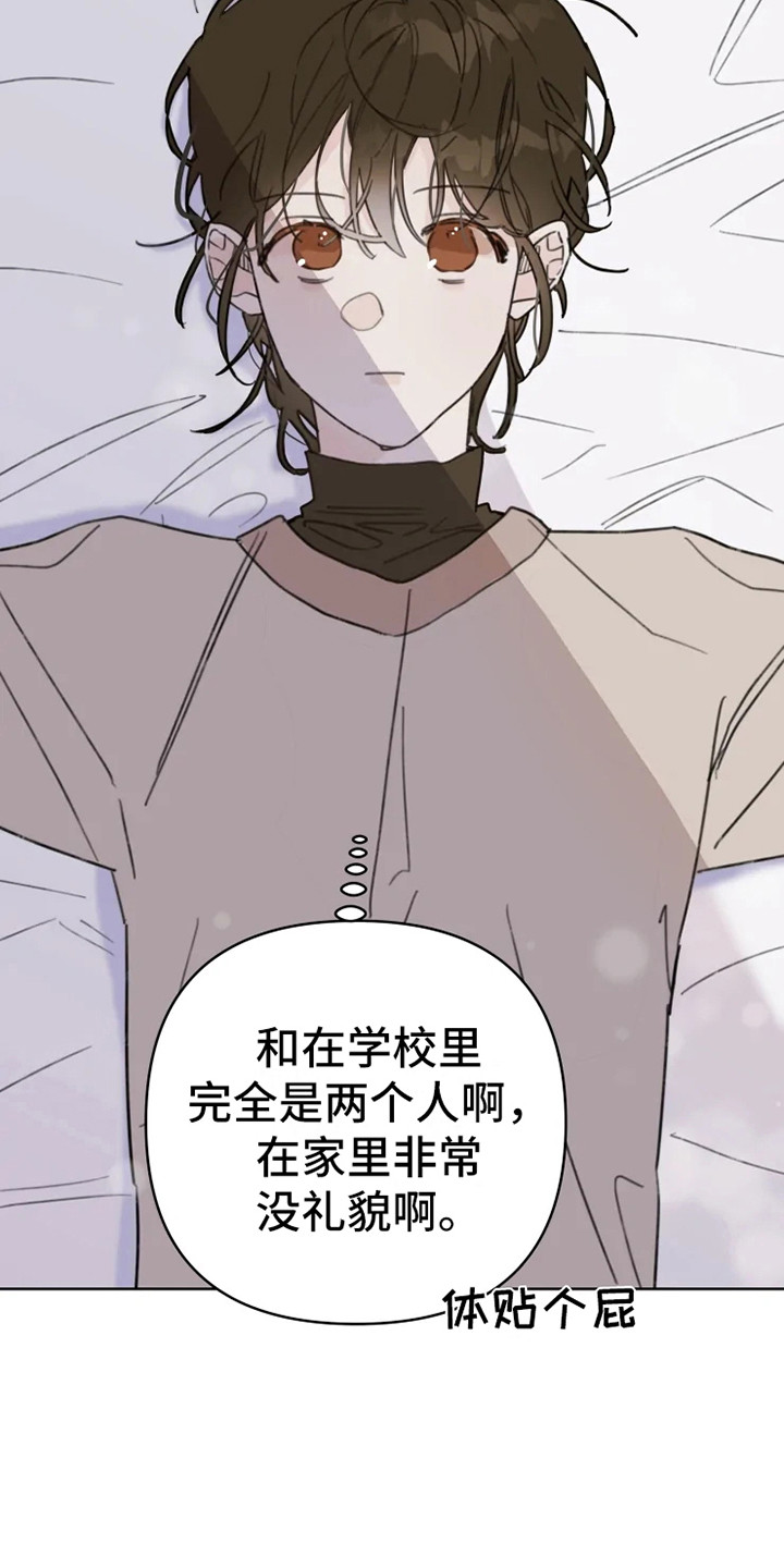 《浪漫的青春》漫画最新章节第2章：人气男免费下拉式在线观看章节第【3】张图片