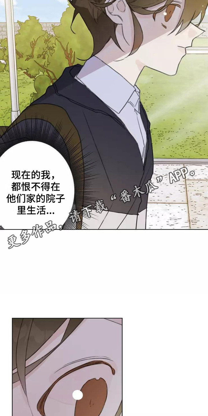 《浪漫的青春》漫画最新章节第13章：悲惨免费下拉式在线观看章节第【12】张图片