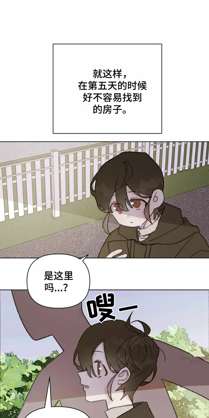 《浪漫的青春》漫画最新章节第13章：悲惨免费下拉式在线观看章节第【9】张图片