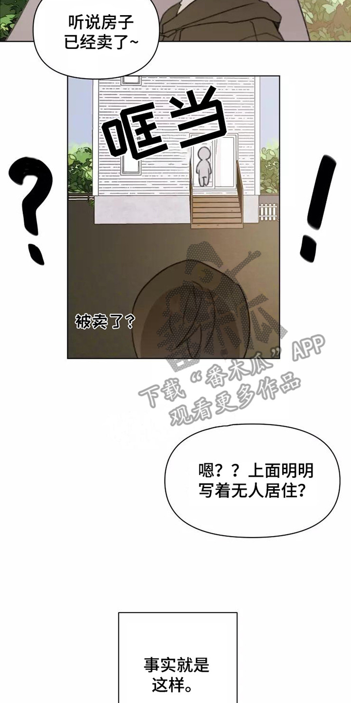 《浪漫的青春》漫画最新章节第13章：悲惨免费下拉式在线观看章节第【8】张图片