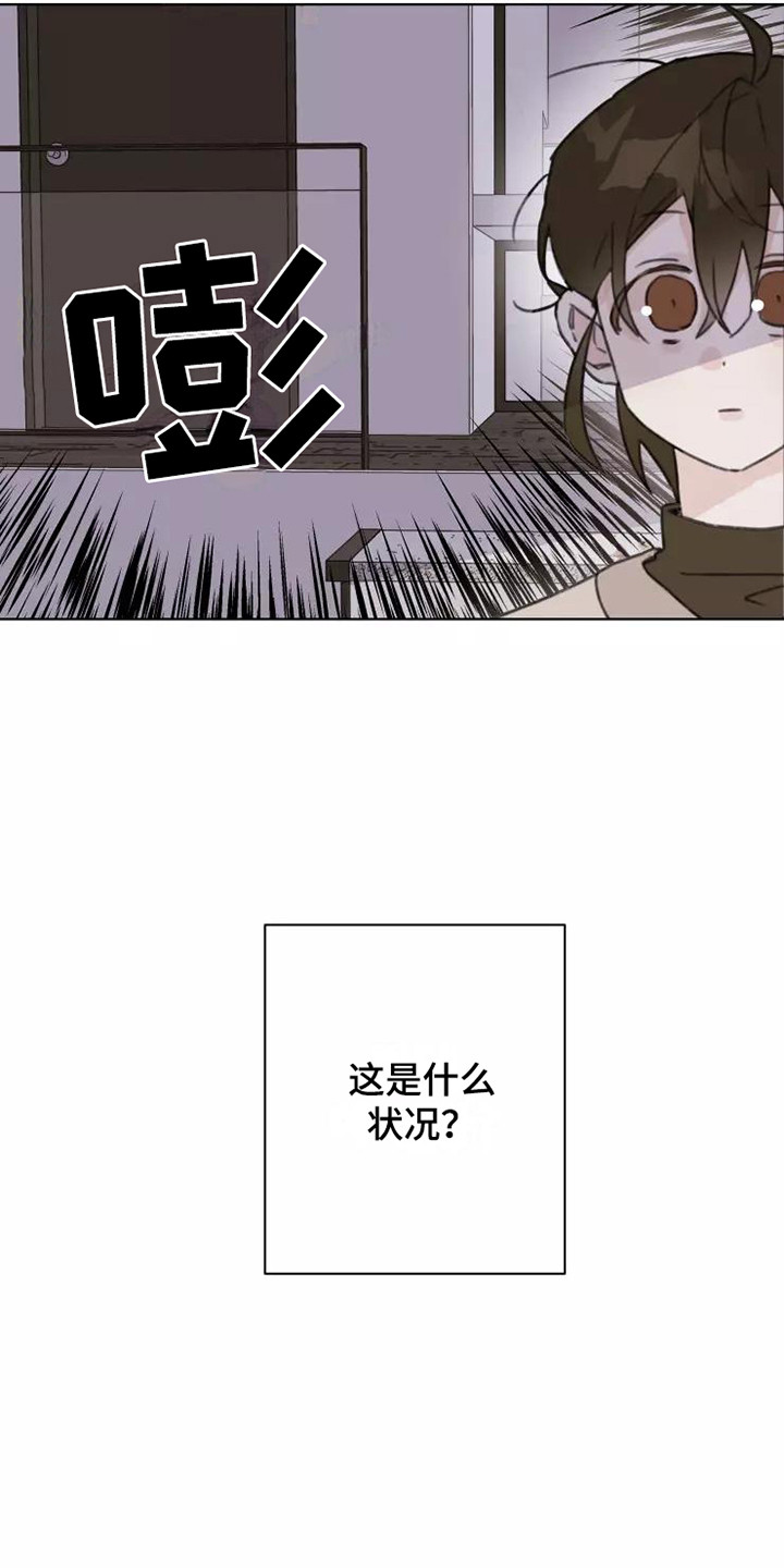 《浪漫的青春》漫画最新章节第14章：不知所措免费下拉式在线观看章节第【1】张图片