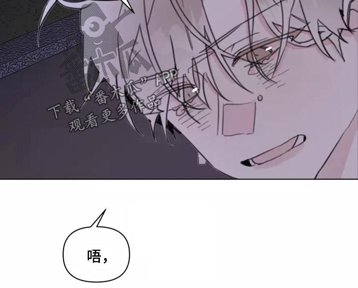 《浪漫的青春》漫画最新章节第23章：姐姐免费下拉式在线观看章节第【5】张图片