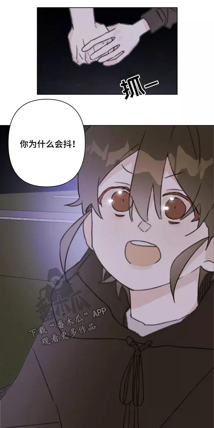 《浪漫的青春》漫画最新章节第28章：不怪你免费下拉式在线观看章节第【5】张图片