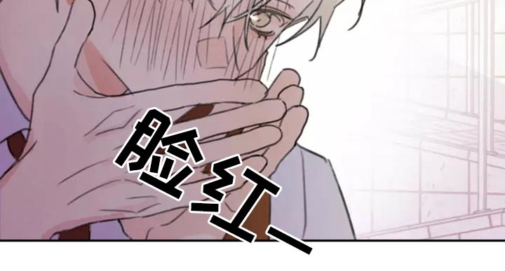 《浪漫的青春》漫画最新章节第30章：邻居免费下拉式在线观看章节第【5】张图片