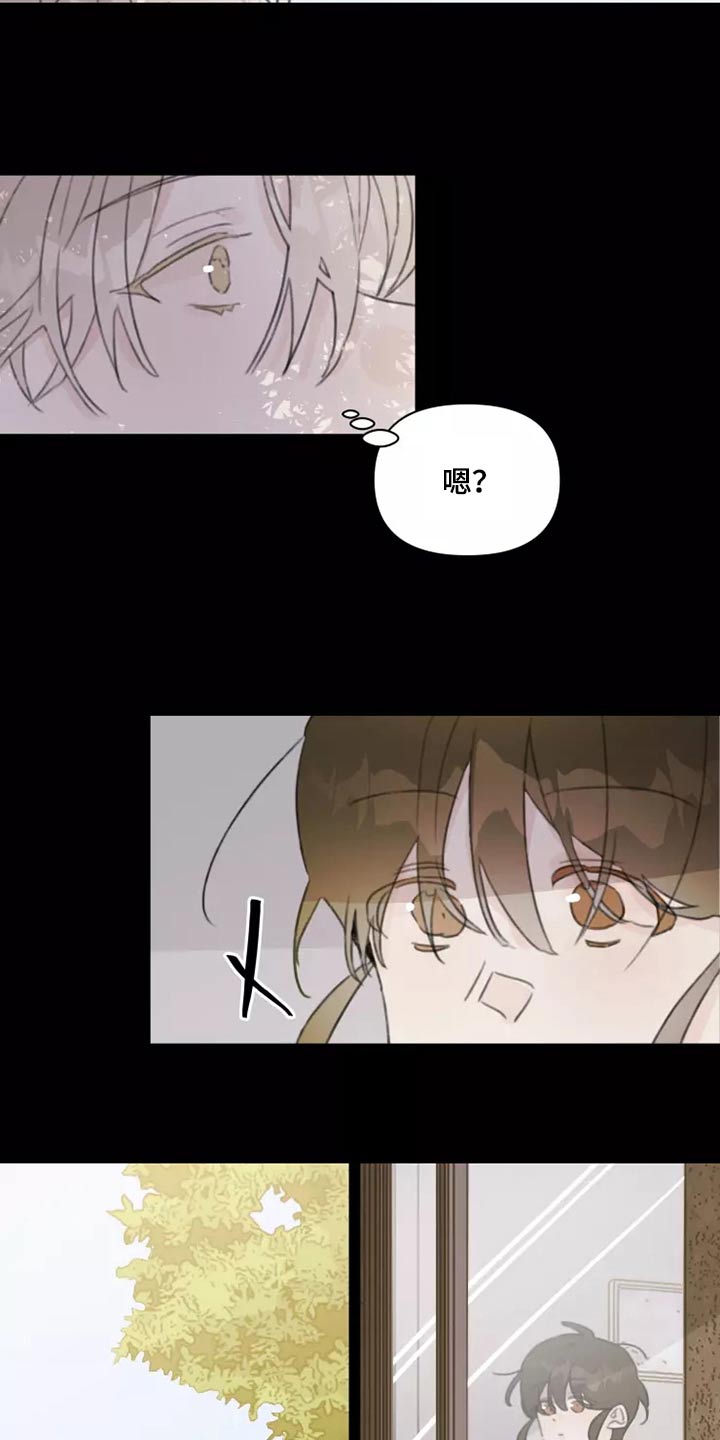 《浪漫的青春》漫画最新章节第37章：不想见面免费下拉式在线观看章节第【12】张图片