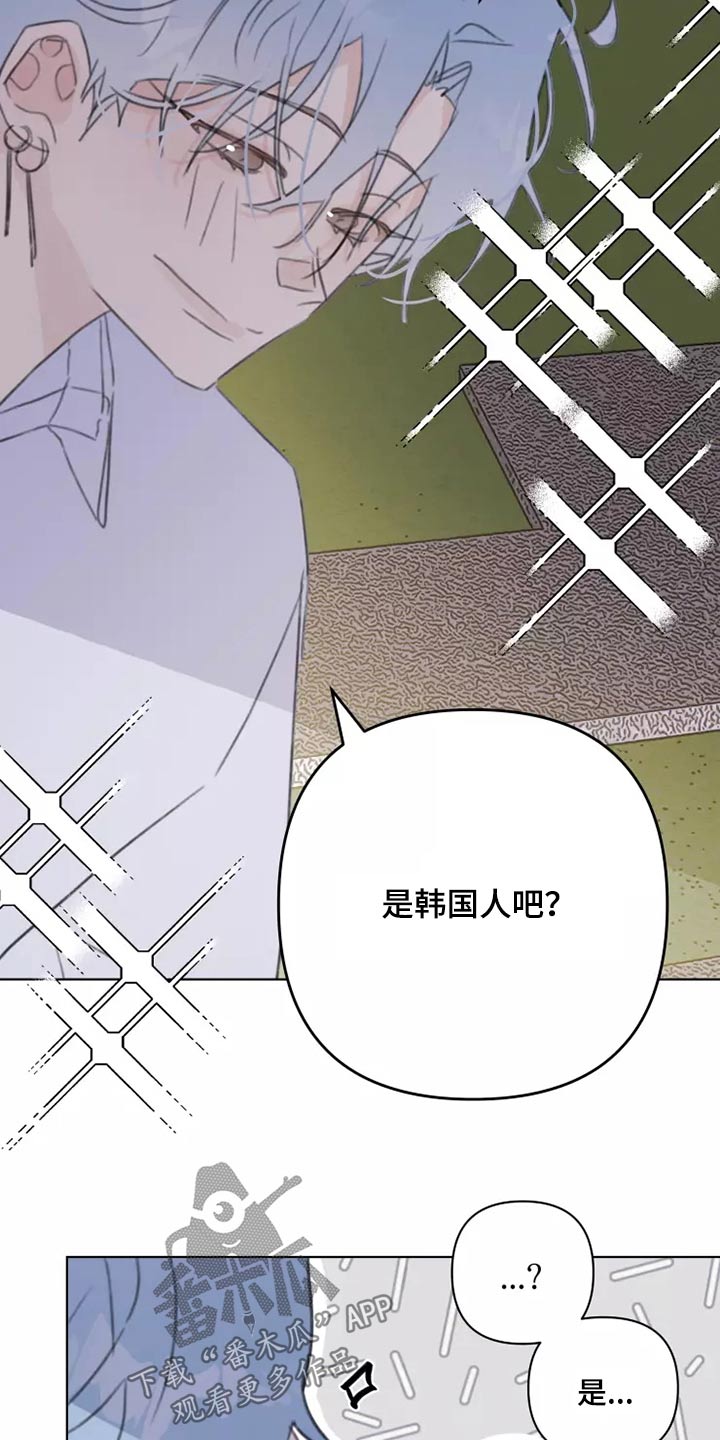 《浪漫的青春》漫画最新章节第38章：转学生免费下拉式在线观看章节第【15】张图片