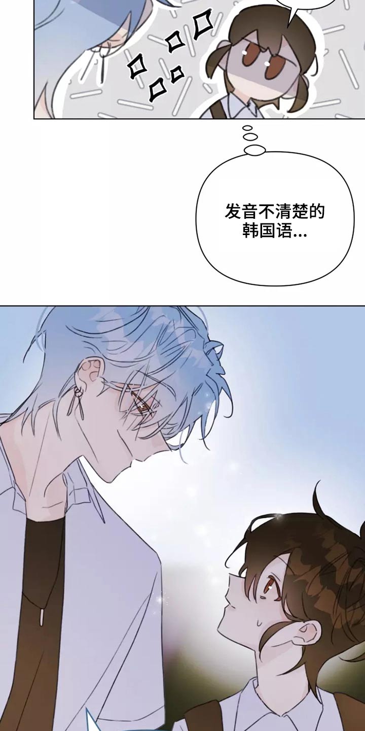 《浪漫的青春》漫画最新章节第38章：转学生免费下拉式在线观看章节第【14】张图片