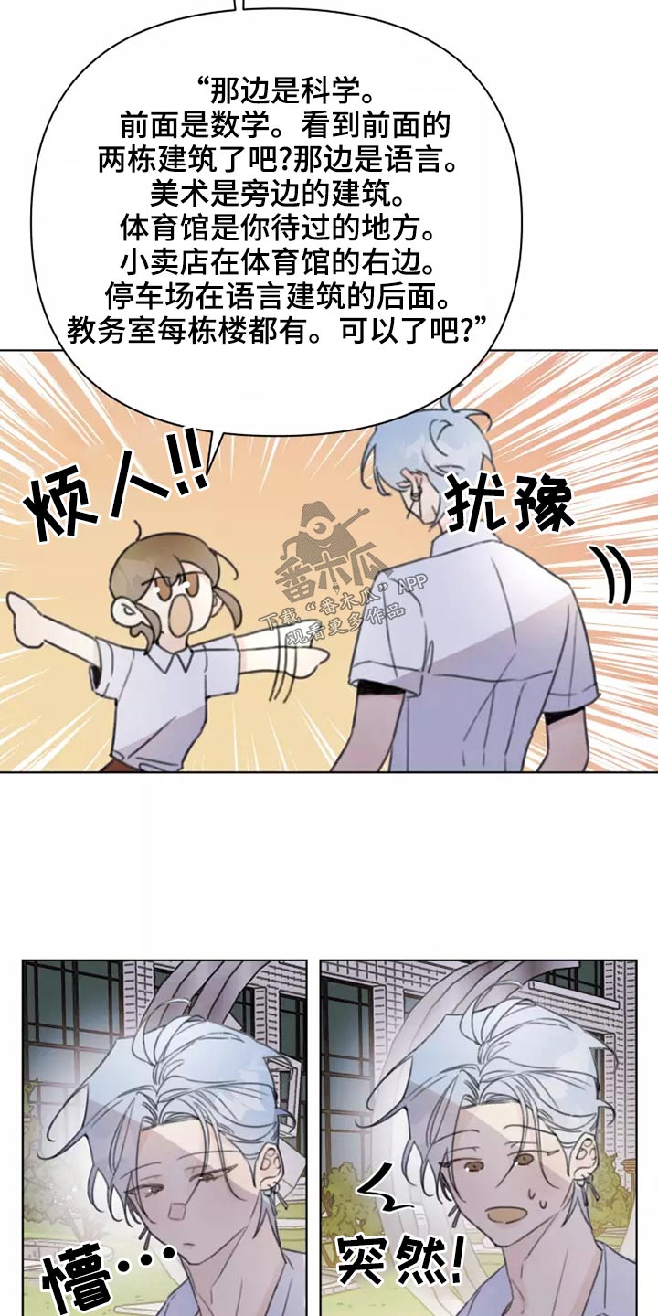 《浪漫的青春》漫画最新章节第39章：篮球免费下拉式在线观看章节第【8】张图片