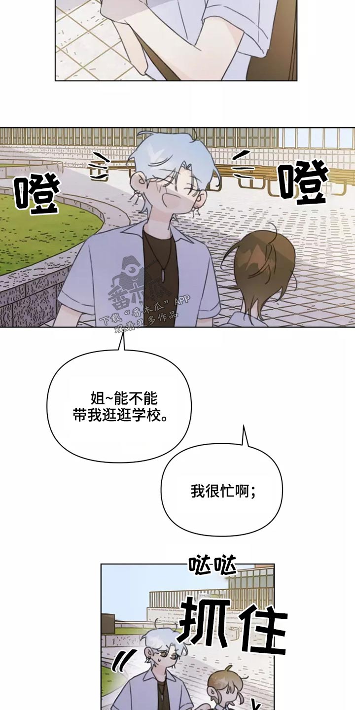 《浪漫的青春》漫画最新章节第39章：篮球免费下拉式在线观看章节第【12】张图片