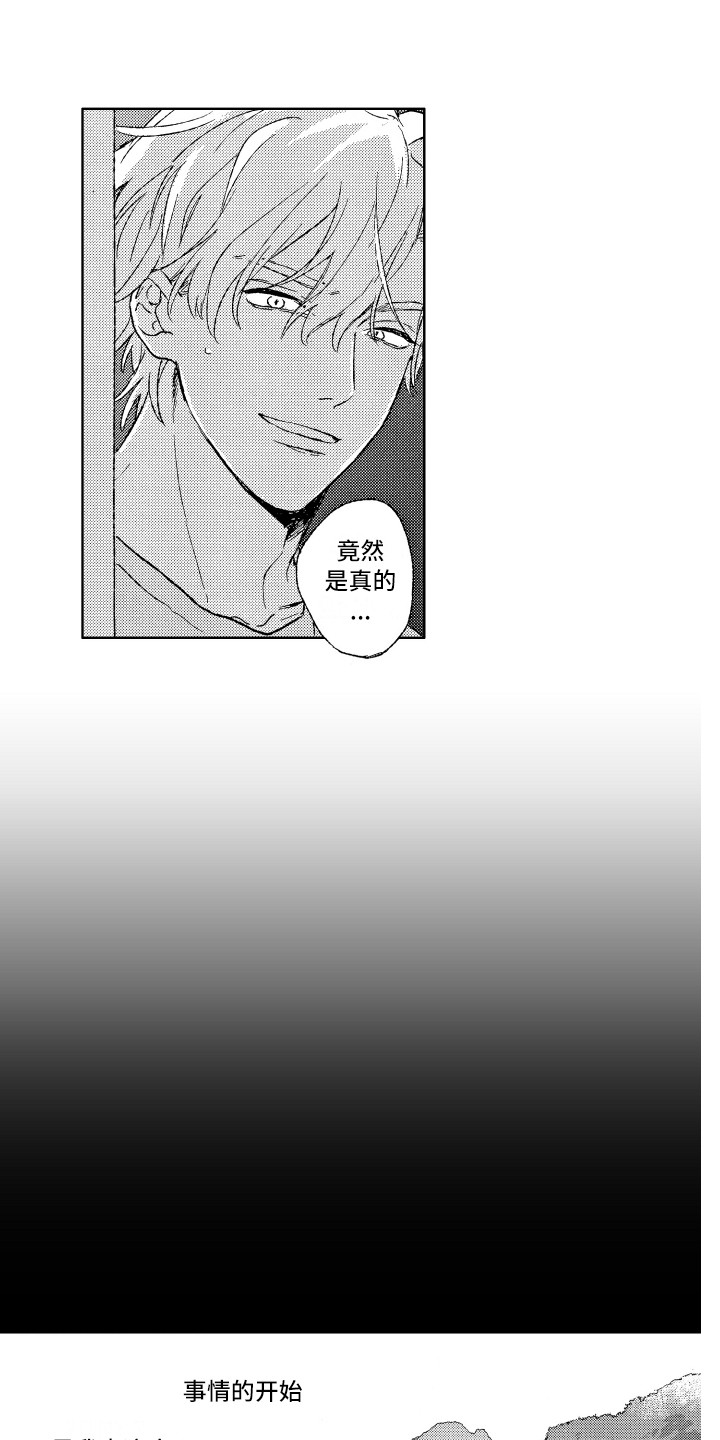 《那赫瓦之星》漫画最新章节第1章：任务免费下拉式在线观看章节第【15】张图片