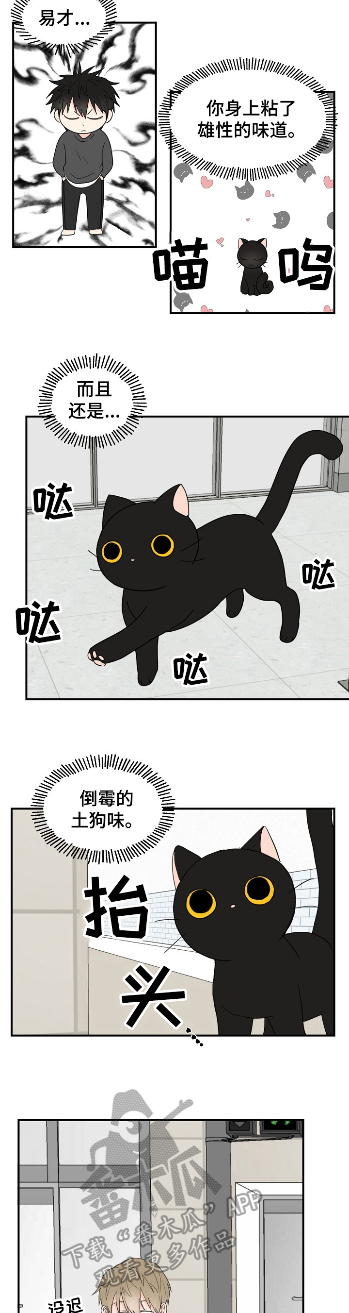 《幸运猫》漫画最新章节第4章：奇怪免费下拉式在线观看章节第【9】张图片