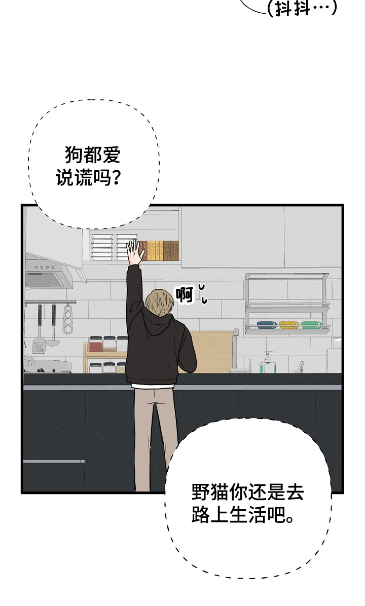 《幸运猫》漫画最新章节第8章：疑惑免费下拉式在线观看章节第【5】张图片