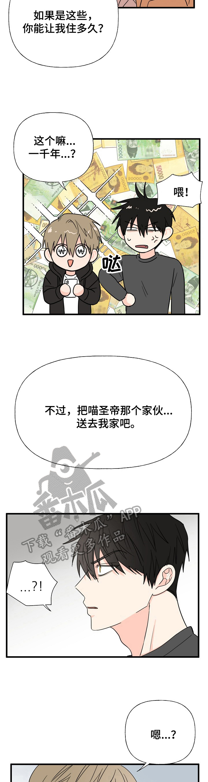 《幸运猫》漫画最新章节第9章：住下免费下拉式在线观看章节第【6】张图片