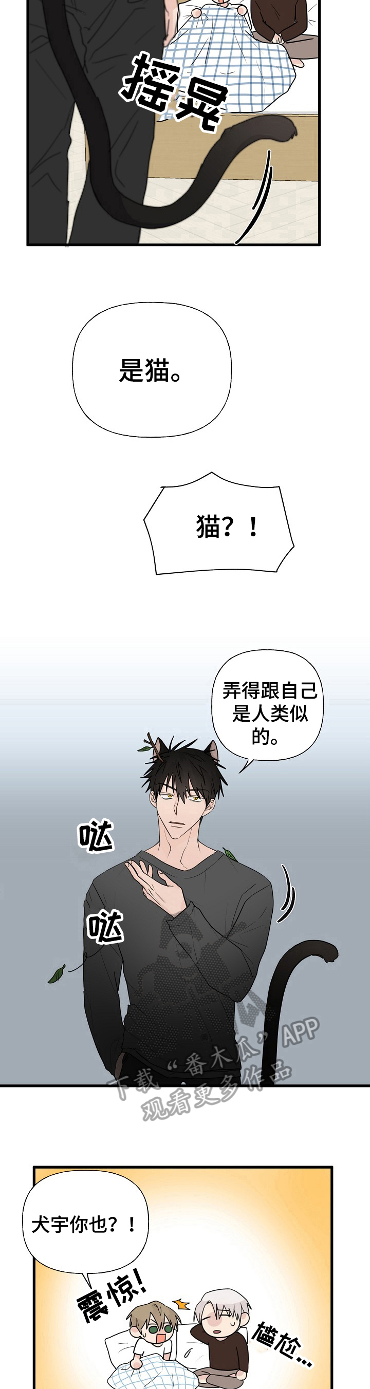 《幸运猫》漫画最新章节第11章：质问免费下拉式在线观看章节第【4】张图片