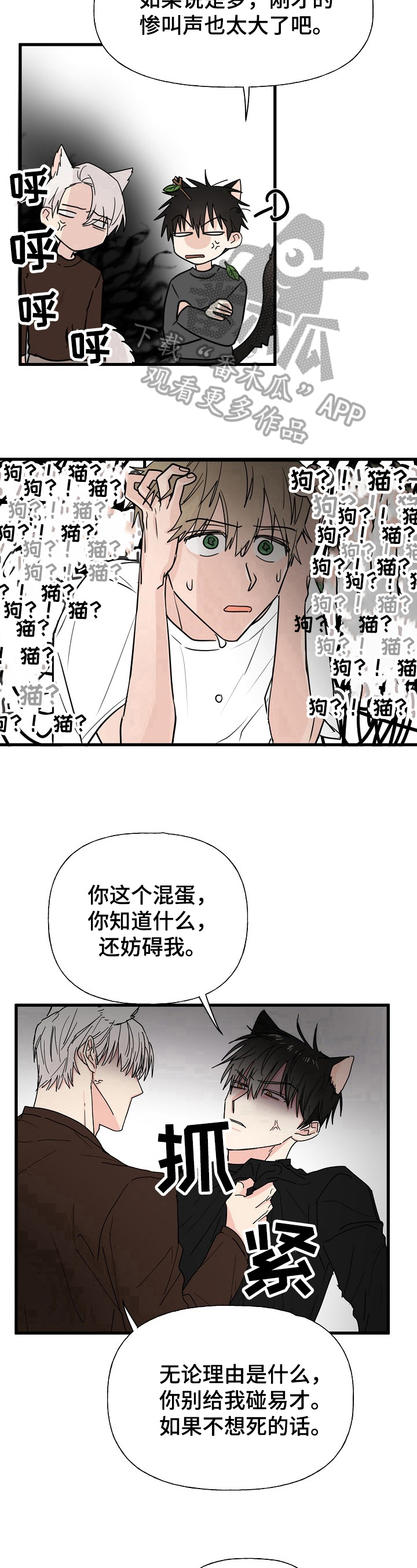 《幸运猫》漫画最新章节第11章：质问免费下拉式在线观看章节第【2】张图片