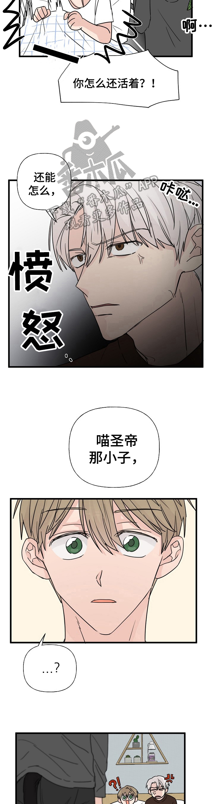 《幸运猫》漫画最新章节第11章：质问免费下拉式在线观看章节第【5】张图片