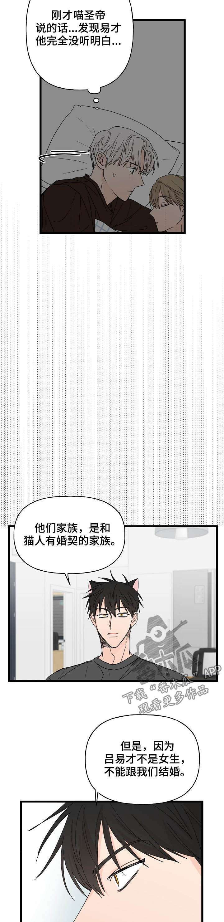 《幸运猫》漫画最新章节第13章：诅咒免费下拉式在线观看章节第【7】张图片