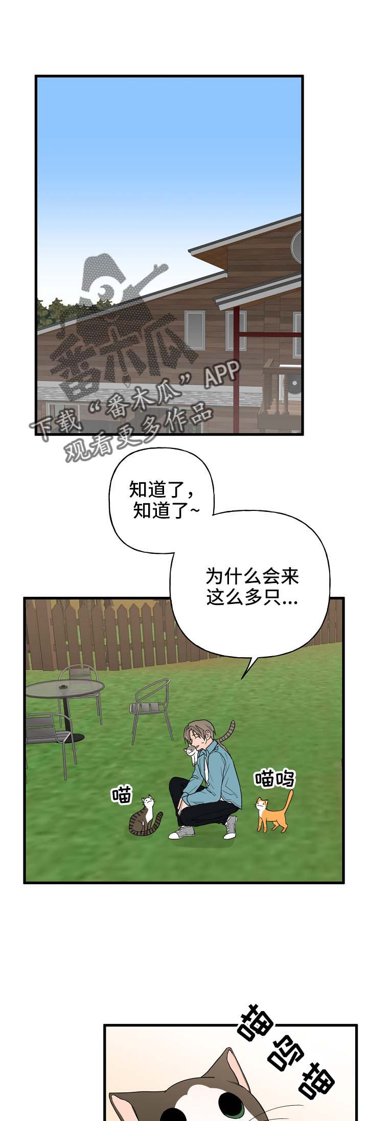 《幸运猫》漫画最新章节第14章：我行我素免费下拉式在线观看章节第【3】张图片