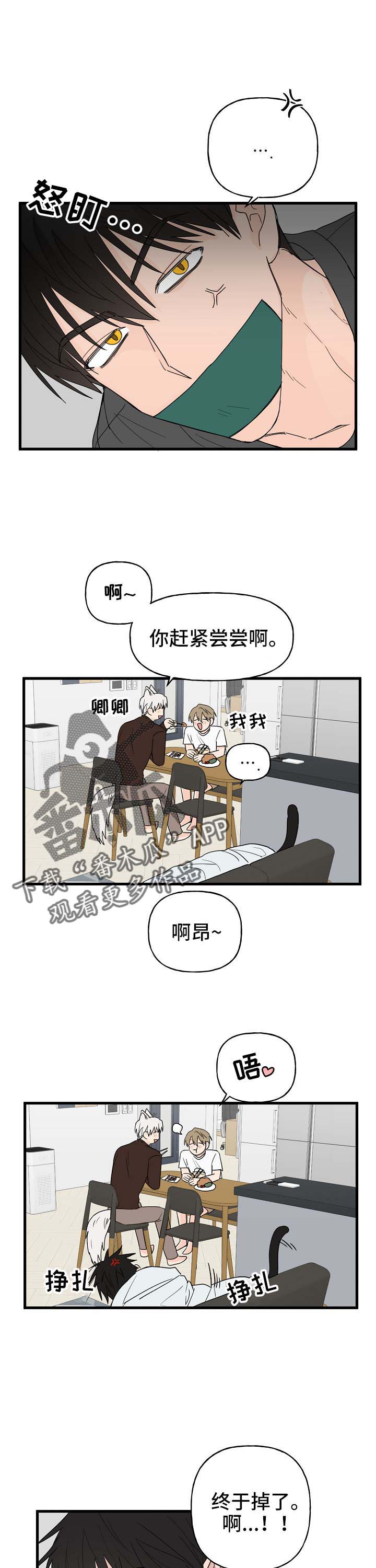 《幸运猫》漫画最新章节第14章：我行我素免费下拉式在线观看章节第【8】张图片