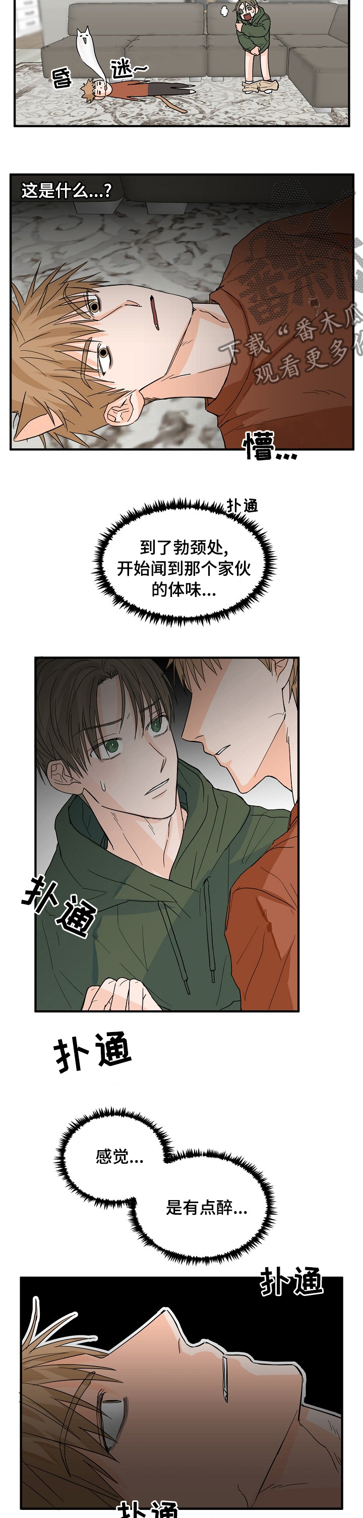 《幸运猫》漫画最新章节第18章：有点醉免费下拉式在线观看章节第【3】张图片