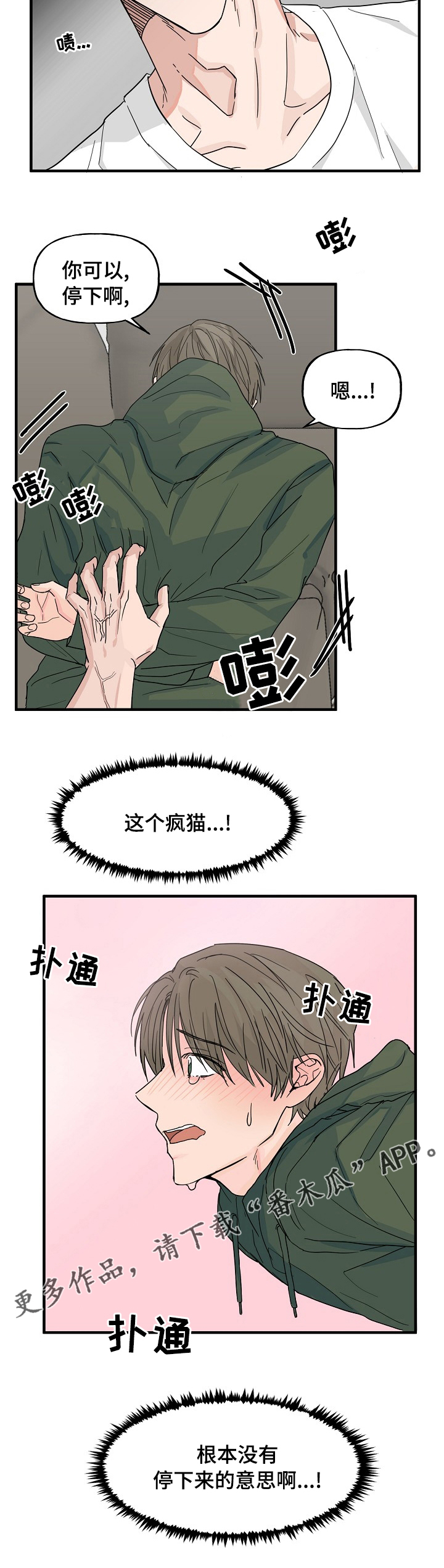 《幸运猫》漫画最新章节第19章：有点特别免费下拉式在线观看章节第【1】张图片