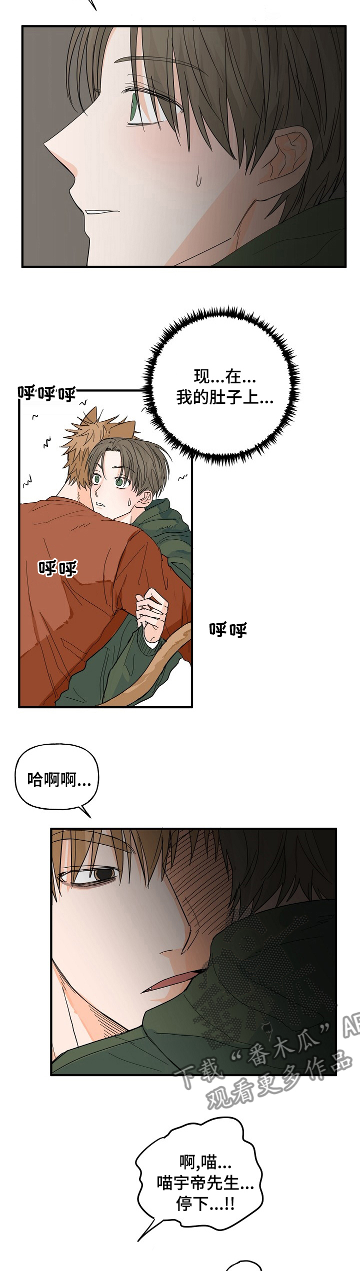 《幸运猫》漫画最新章节第19章：有点特别免费下拉式在线观看章节第【6】张图片