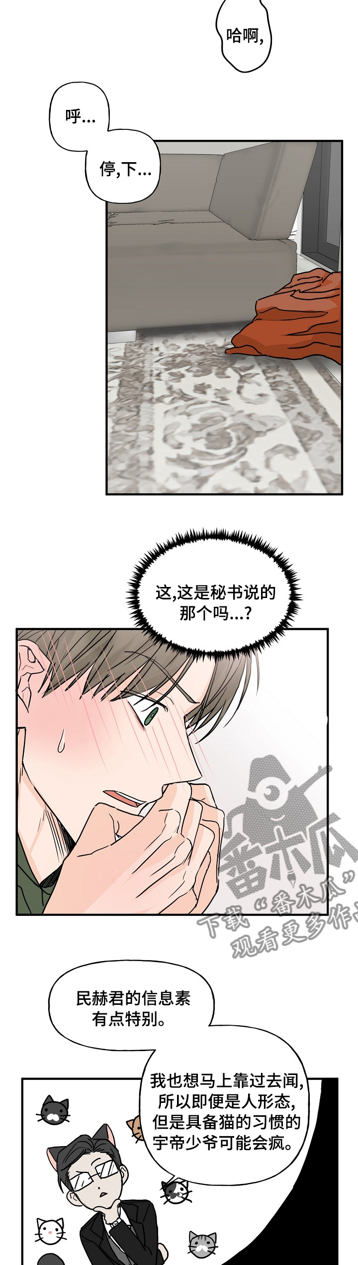 《幸运猫》漫画最新章节第19章：有点特别免费下拉式在线观看章节第【5】张图片