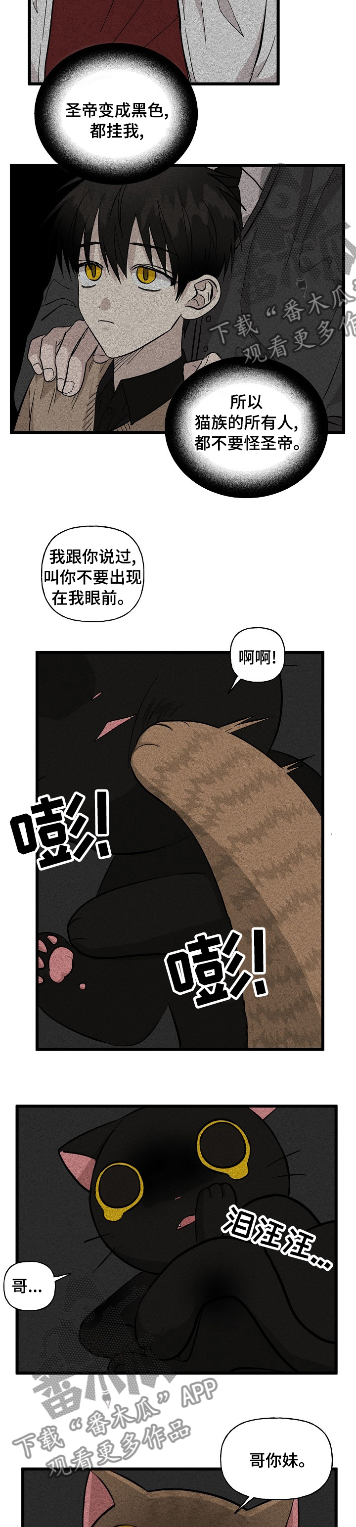 《幸运猫》漫画最新章节第28章：特别待遇免费下拉式在线观看章节第【3】张图片