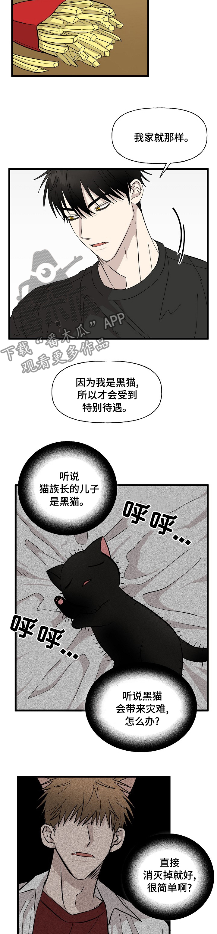 《幸运猫》漫画最新章节第28章：特别待遇免费下拉式在线观看章节第【4】张图片